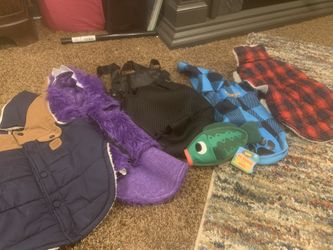 Dog Items For Dog Under 11lbs