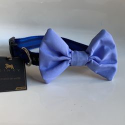 Sky Blue Bow tie Dog Collar