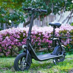 Electric Scooters with Seat