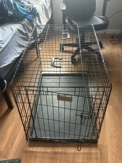 Dog Crate