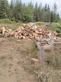 Seasoned Wood!
