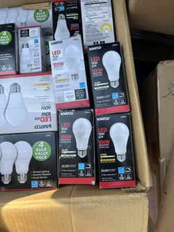 Light Bulbs
