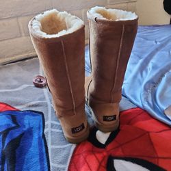 Uggs 