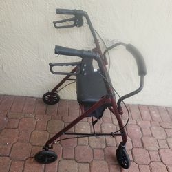 Mobility Rollator with Seat