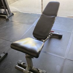 XMark Adjustable Weight Bench