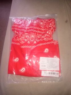 Red Paisley Bandana Shorts (XL)