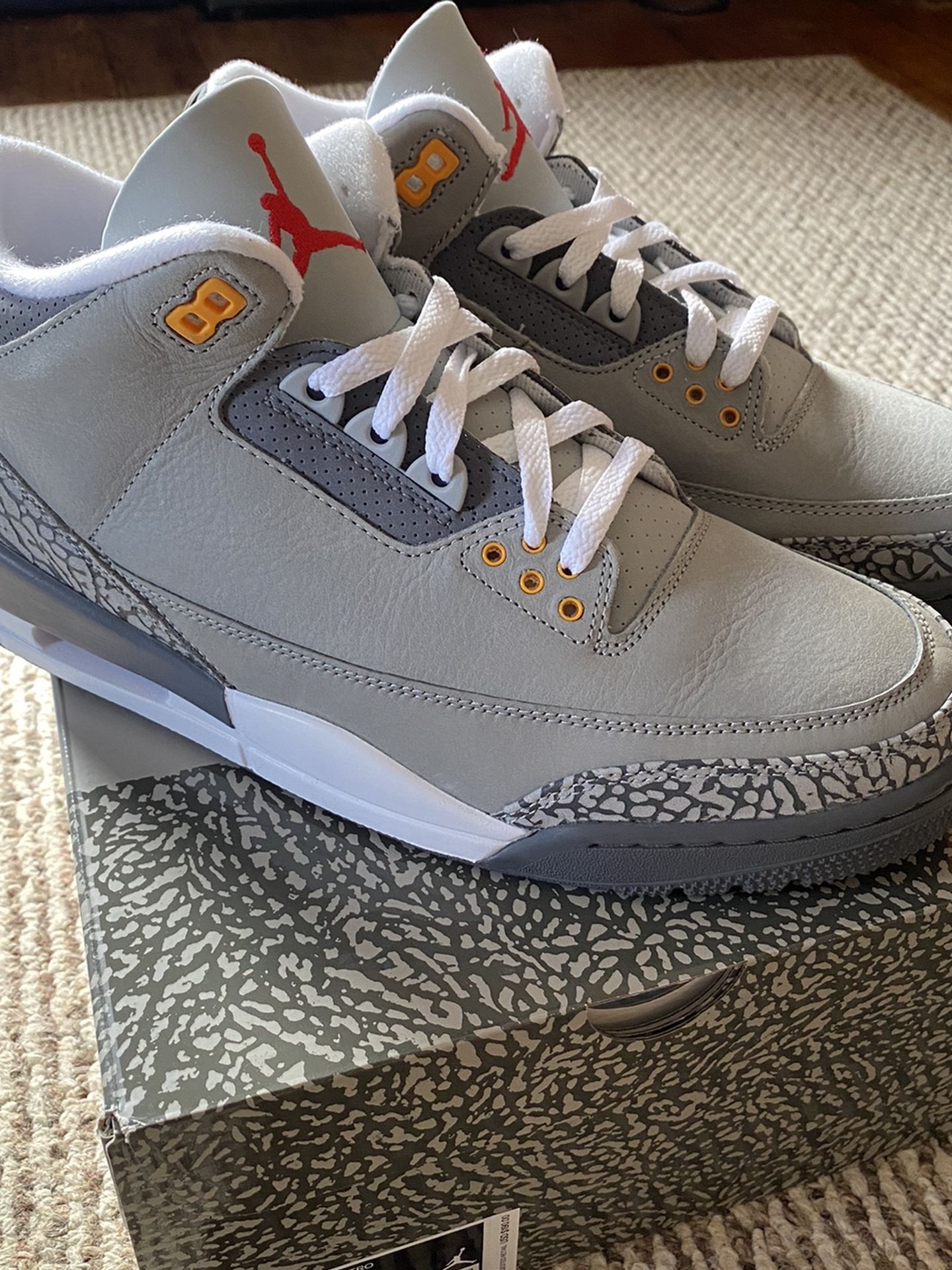 Air Jordan 3 Cool Grey