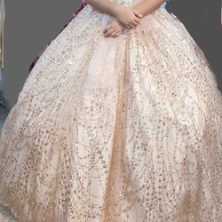 Quinceañera Dress 