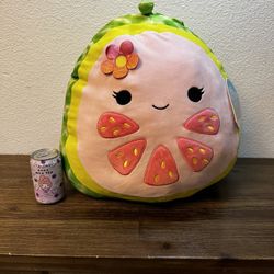 Squishmallow 