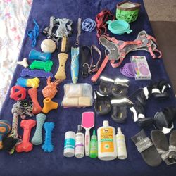 Dog Items 