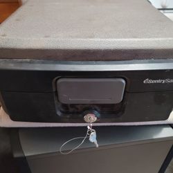 Brand New Sentry Fireproof Safe $50 Pickup In Oakdale 