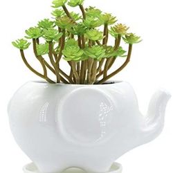 Gelive Mom Elephant Succulent Plant Holder Brand New Pick Up Or Delivery $5