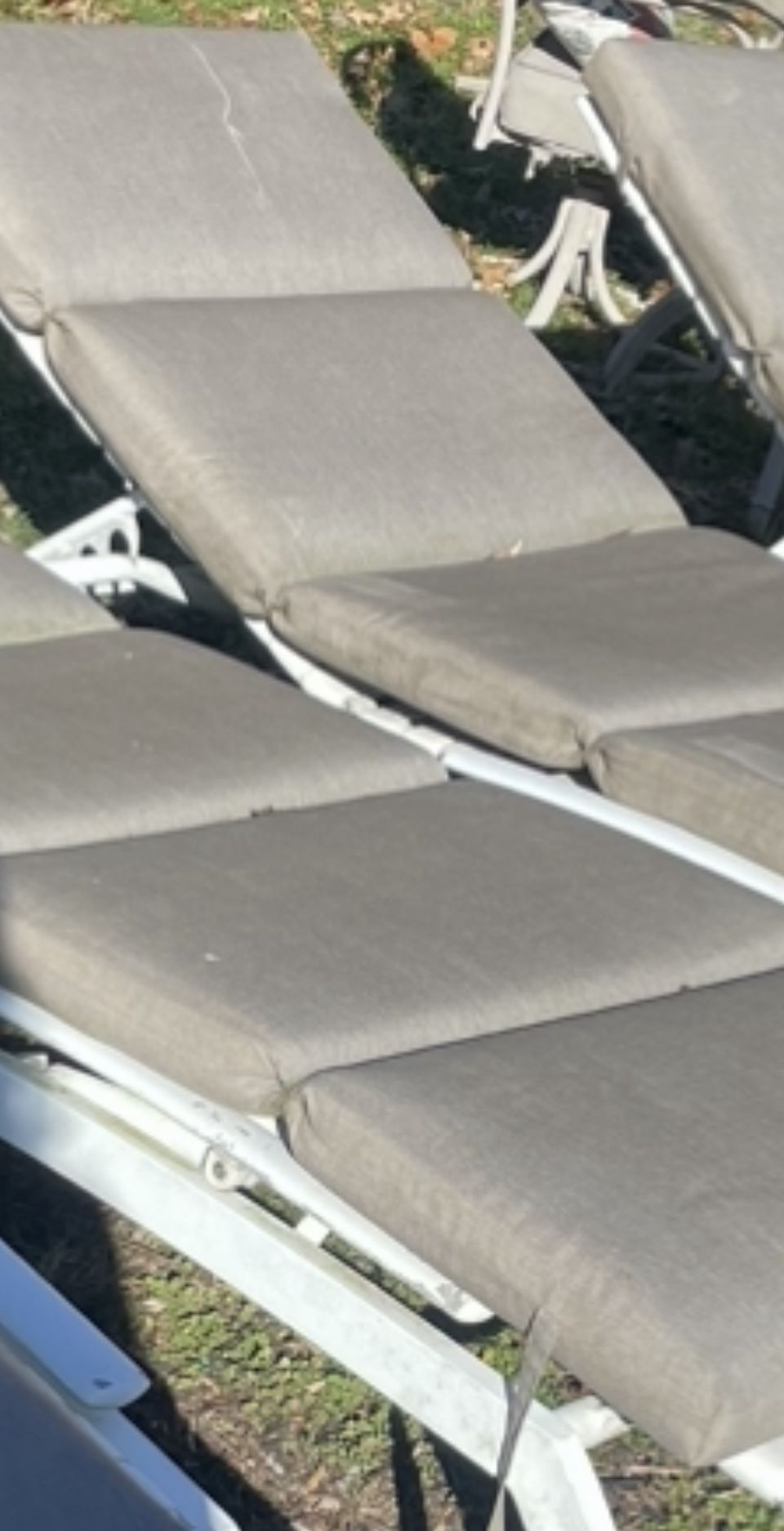 Beige Sunbrella Lounger Patio Cushions