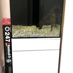 JBJ 25 gallon rimless aquarium setup