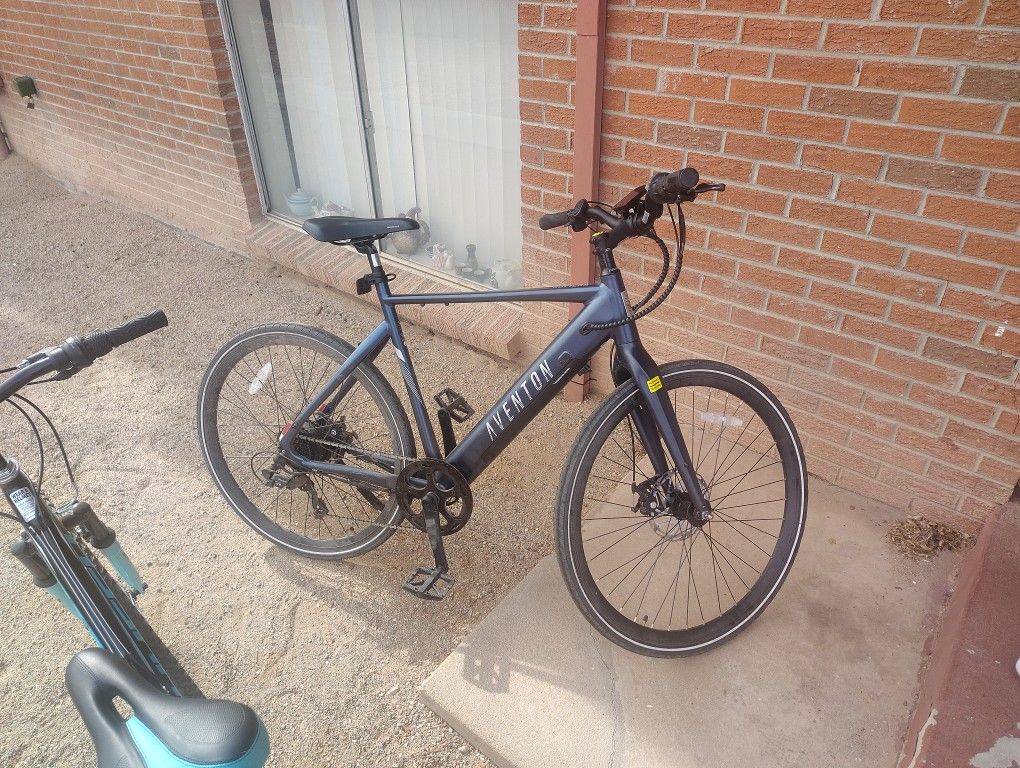 Electric Bike
