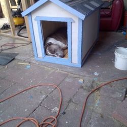 Large Dog House