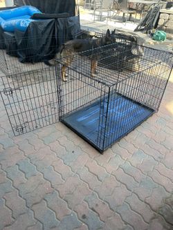 Large dog crate