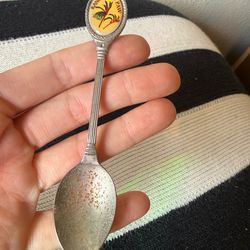 vintage Australian souvenir spoon featuring a Kangaroo Paw flower enamel emblem koala