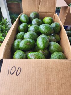 Aguacates Organicos