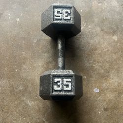 35 Pound Dumbbell 