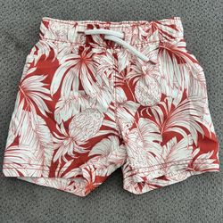 Toddler Swimming Trunks 2T