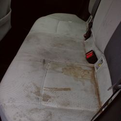 Interior Stain Removal