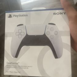 Ps5 Controller 