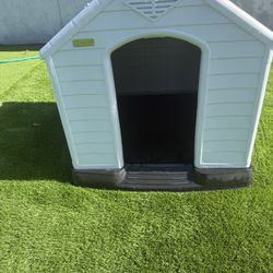 Dog House 