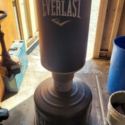 Punching Bag Everlast 