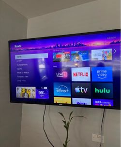 50in Phillips smart TV with remote and mount and speaker speakers included