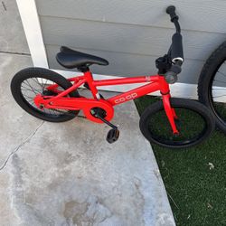 Kids Bike- REI Rev 16