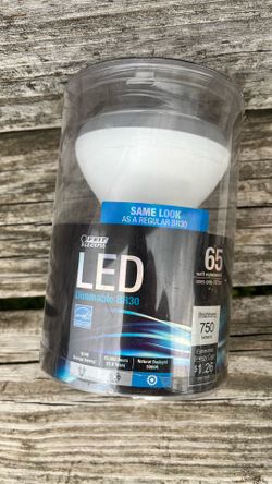 Light