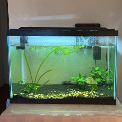 Fish Tank Aquarium  Glass 20 Gallons  