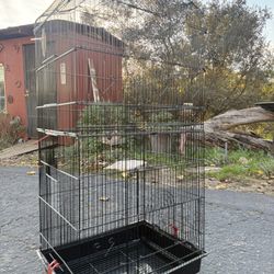 Bird Cage 