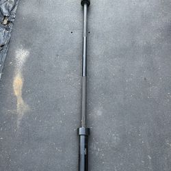 5ft 25lb Olympic Weight Bar 