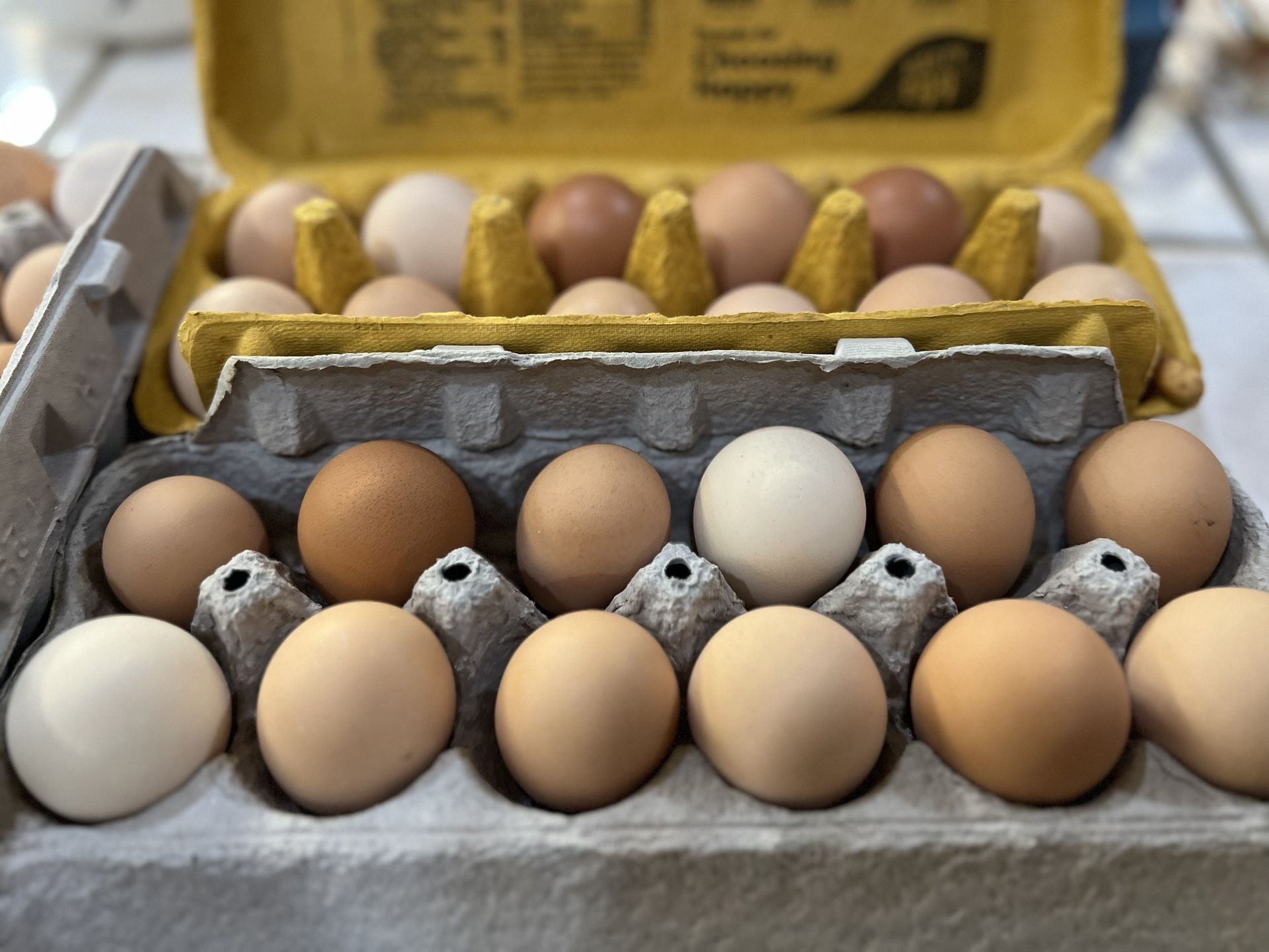 Fresh Eggs Daily $8 Per Dozen