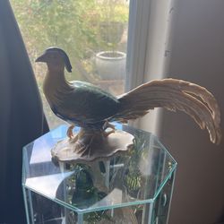 Karl Ens Porcelain Pheasant