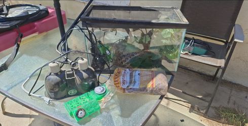 Reptile tank kit