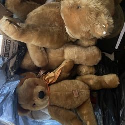 Collection Vintage Teddy Bears