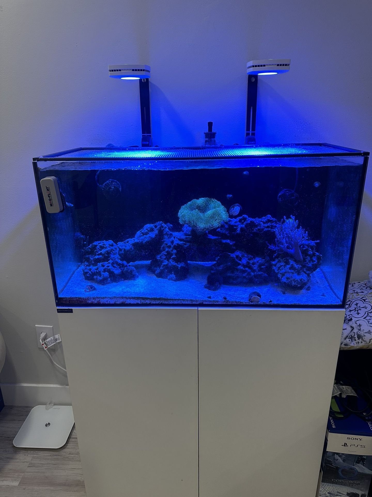 Reef Tank for Sale in Hialeah, FL OfferUp