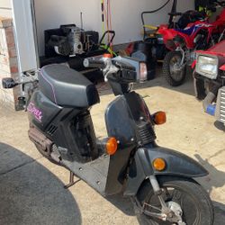 1985 Honda Spree 
