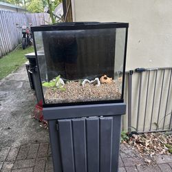 Fish Tank w/ Stand + Marineland Filter (40 Gallon Setup)