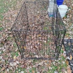 Dog Crates