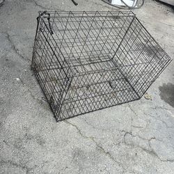 Cage for dog
