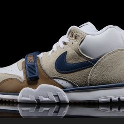 New Nike Air Trainer in Limestone