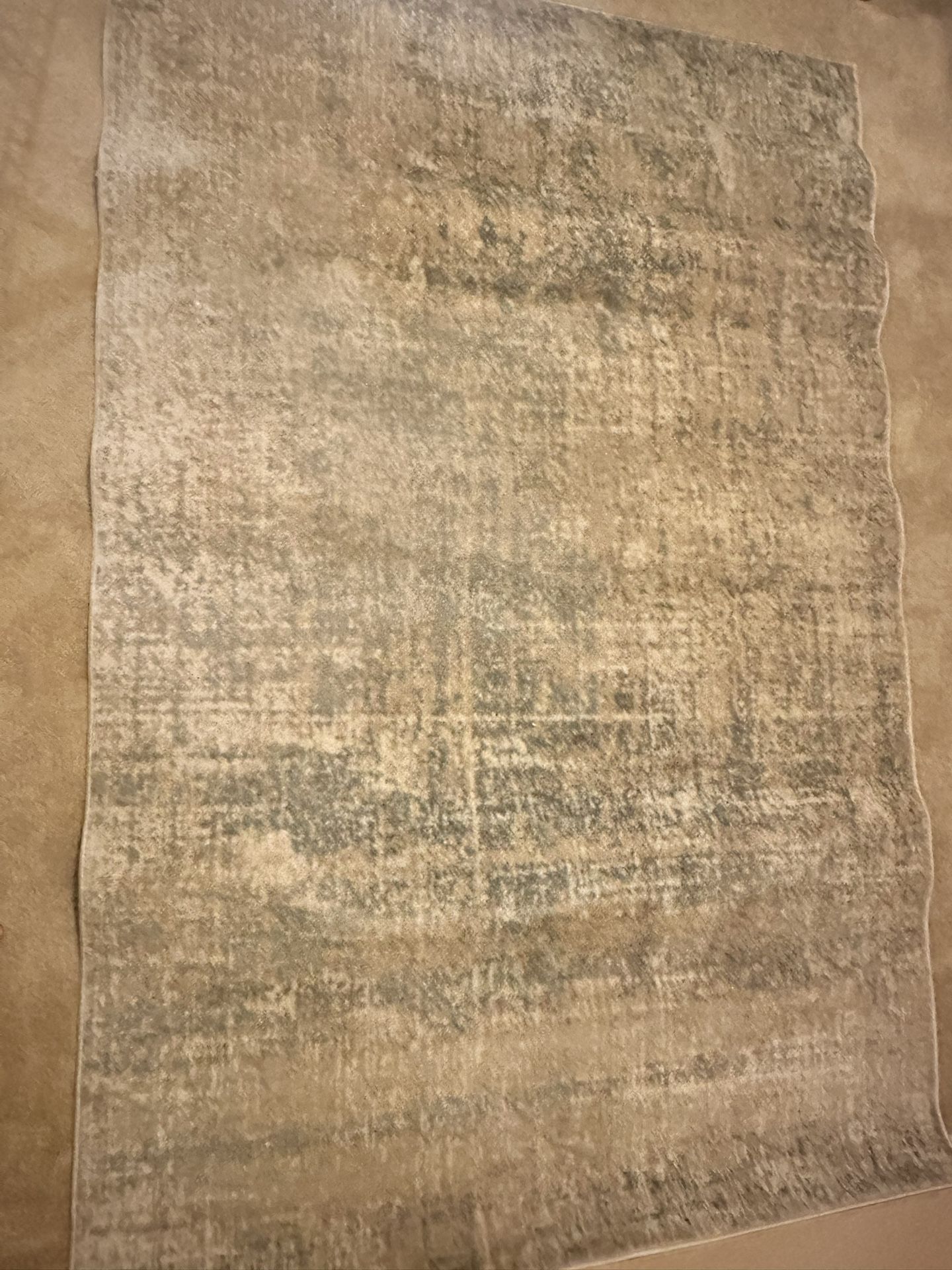 Area Rug