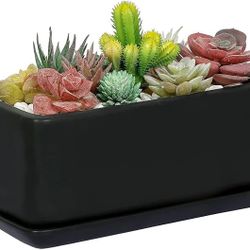 10” Matte Black Succulent Planter W/drainage Tray. Great Starter Planter For Succulents!(plants Not Included)