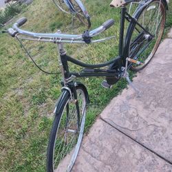 The Raleigh Vintage Girl Bike 