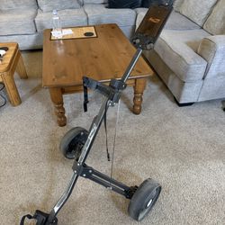 Bag Boy M-300 Two-Wheel Pull Golf Cart