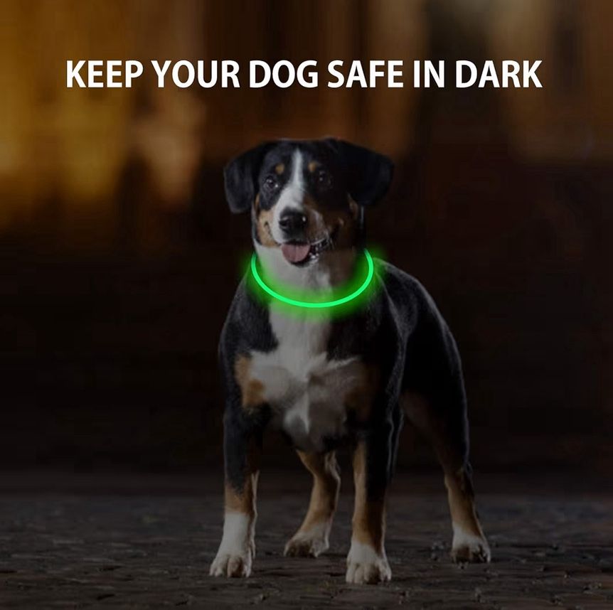 Dog Led Collar (NOVKIN) 